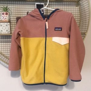Micro D Snap T fleece Patagonia jacket